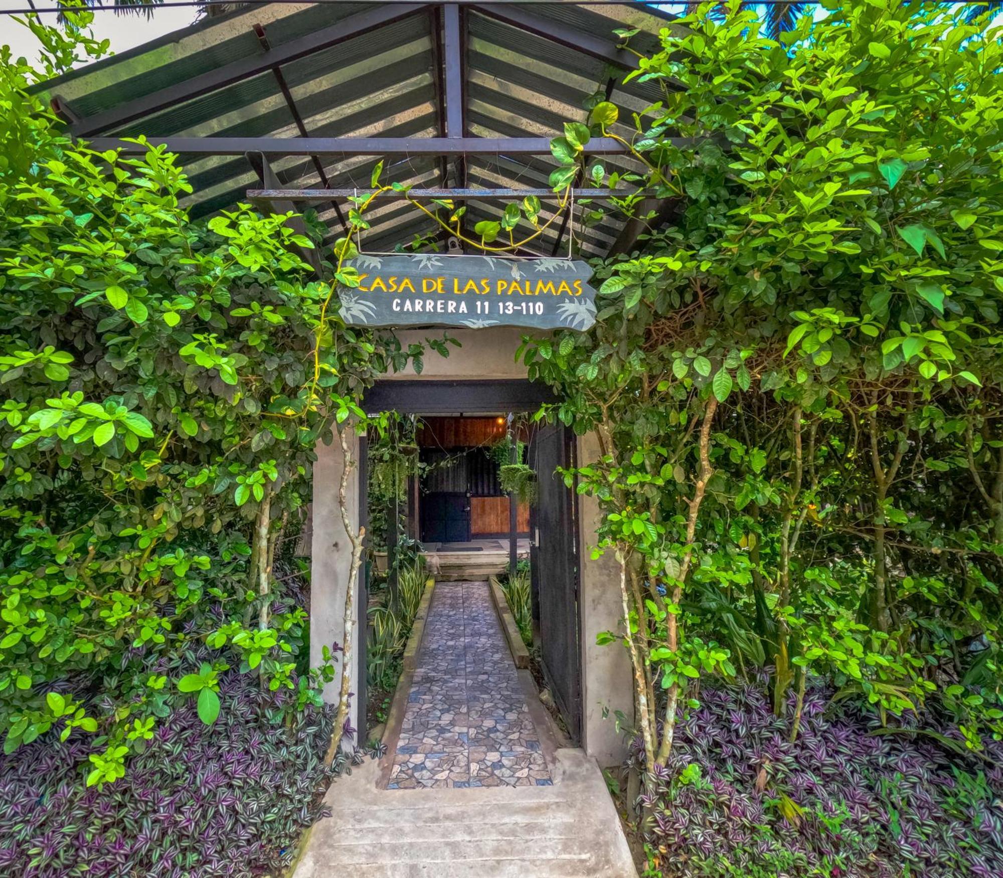 Hostel Casa De Las Palmas Tours เลติเซีย ภายนอก รูปภาพ