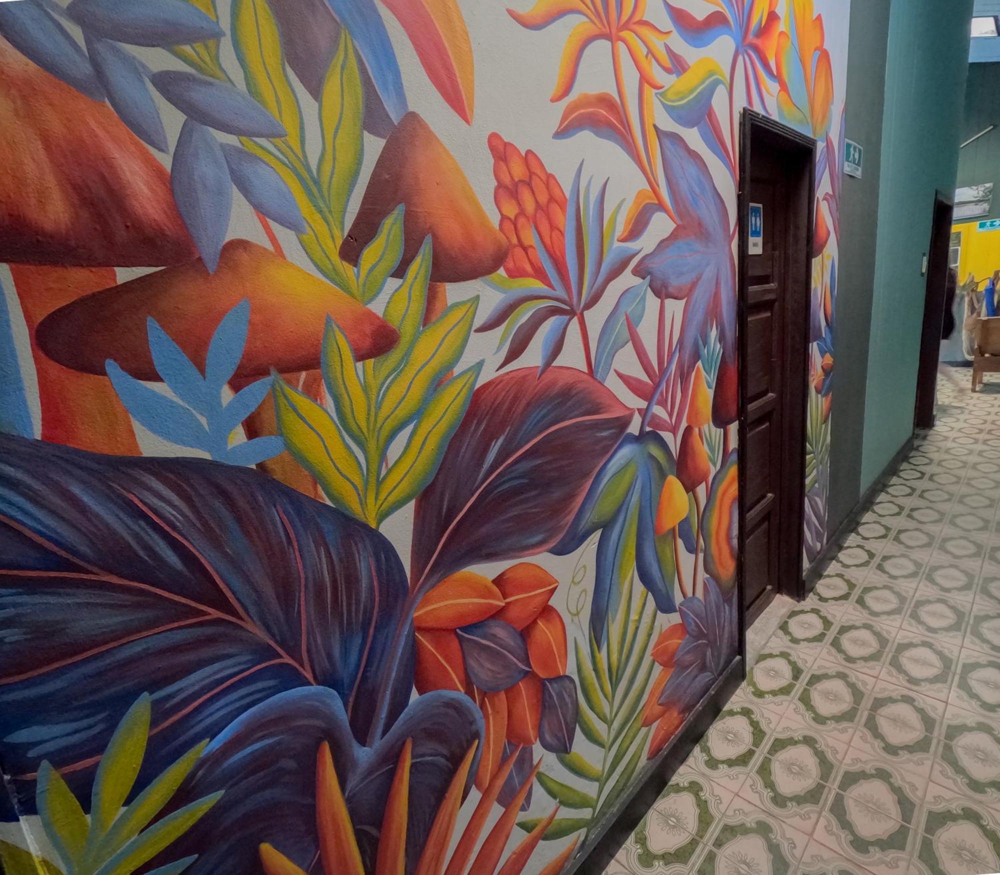 Hostel Casa De Las Palmas Tours เลติเซีย ภายนอก รูปภาพ