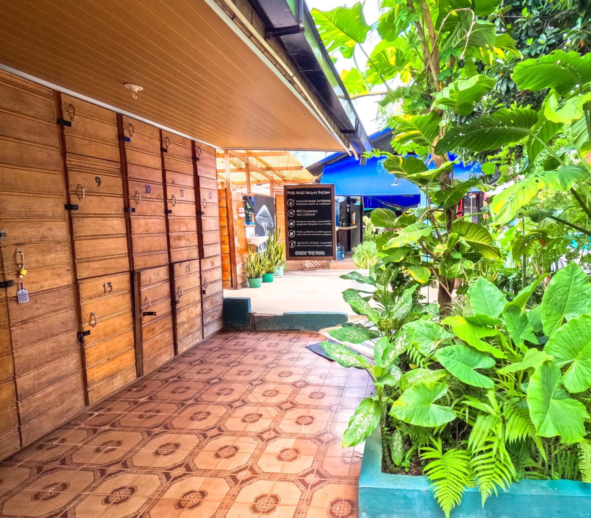Hostel Casa De Las Palmas Tours เลติเซีย ภายนอก รูปภาพ