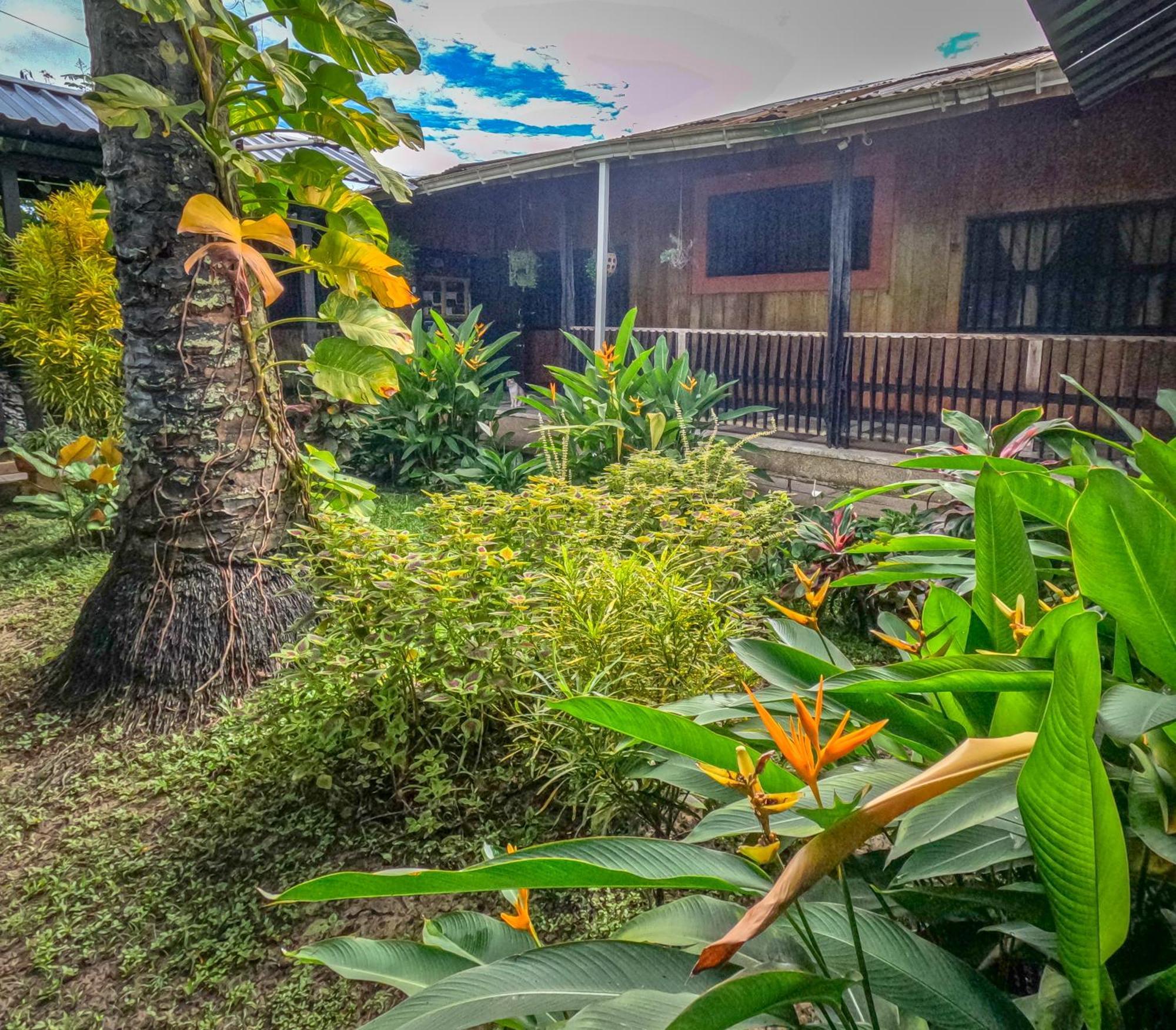 Hostel Casa De Las Palmas Tours เลติเซีย ภายนอก รูปภาพ