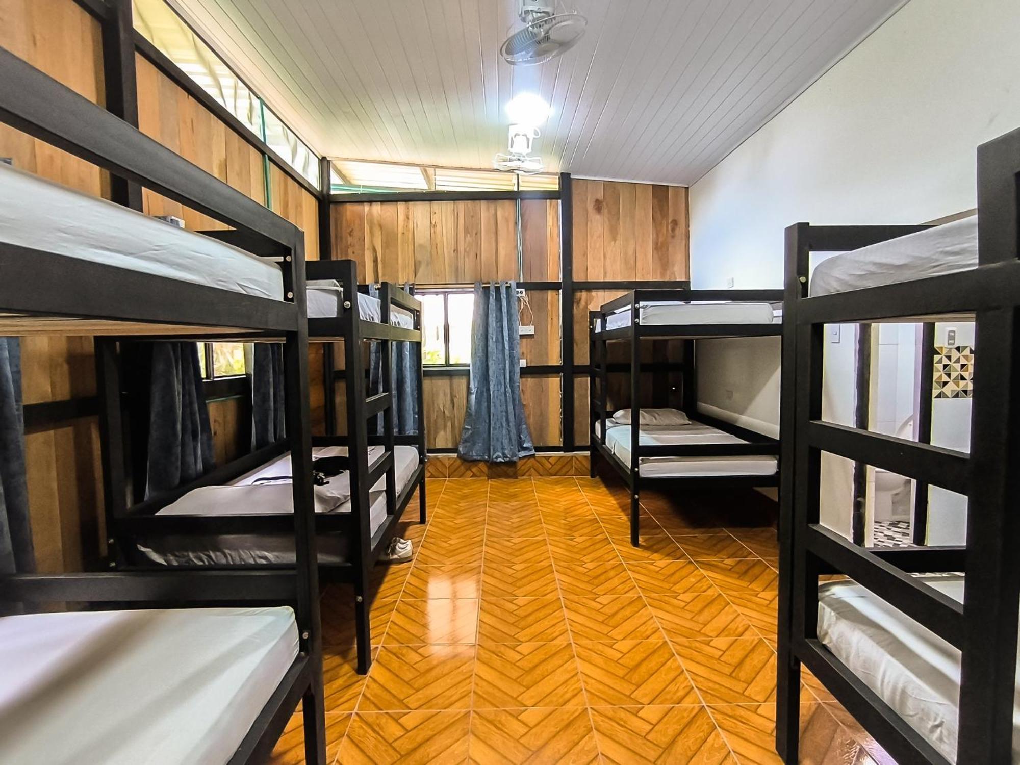 Hostel Casa De Las Palmas Tours เลติเซีย ภายนอก รูปภาพ